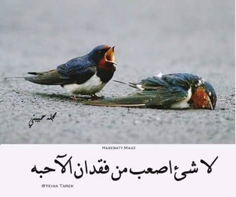 ss253553's tweet photo. يعجز لساني عن التعبير https://t.co/pf8AhtU2Rl