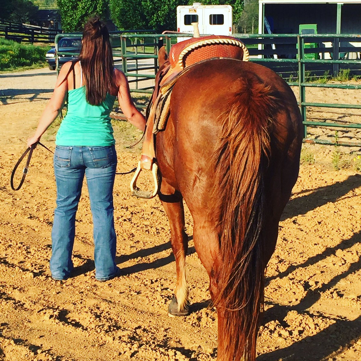 shanda018's tweet photo. #barrelhorse #brookie #mightybarbrook ๐ https://t.co/wOKgcPkmxP