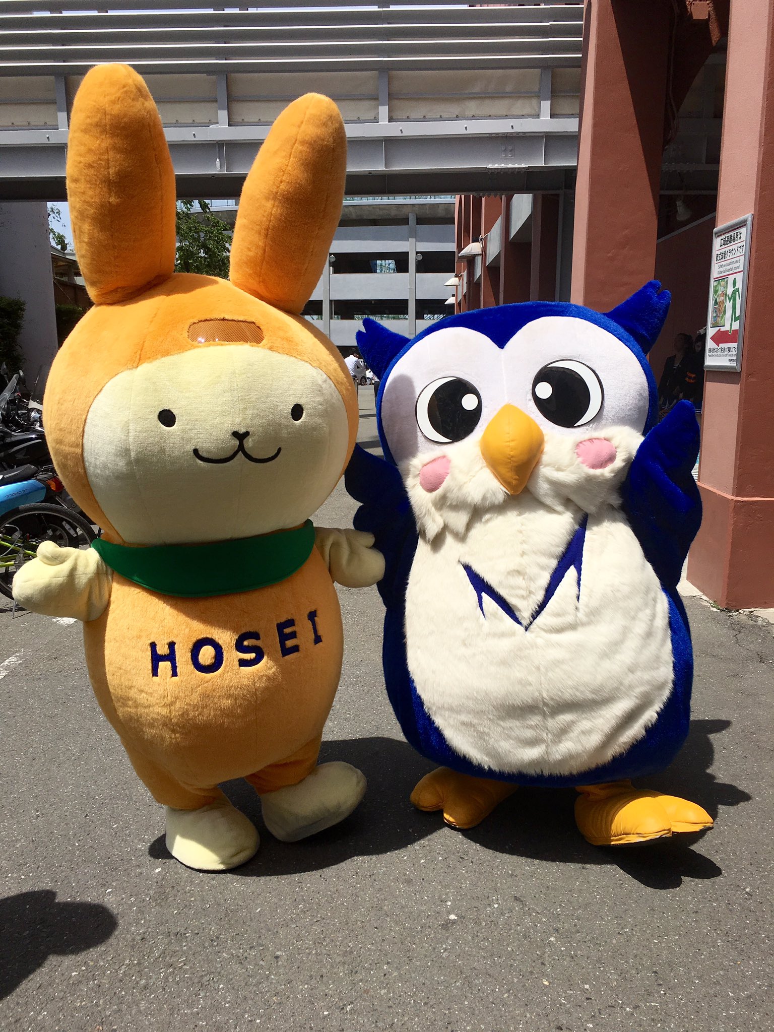 Twitter এ 法政大学応援団 血の法明戦 今日はかわいいマスコットキャラクターも神宮に来ていますよ 5 8 日 2ポイントデー 法大 明大 第二試合 13 00 試合開始予定 お待ちしております T Co Ycifqqticg ট ইট র