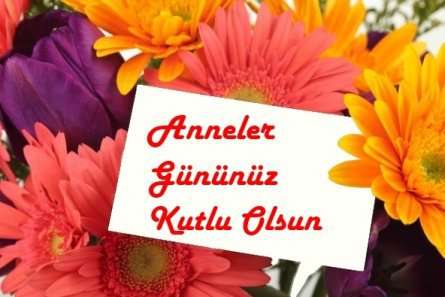 BAKLACISibel's tweet photo. Anneler Günü Geldi Hoşgeldi; Sizi Çok Seviyoruz https://t.co/TERQLPIAjL https://t.co/5ZlBxykDwS