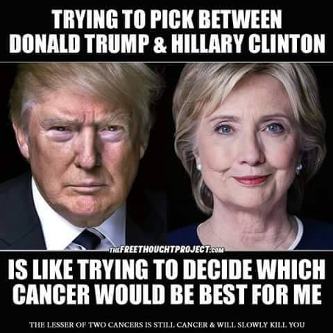 breezyrobin's tweet photo. @thehill BERNIE CAN WIN; HRC CANNOT #BernieOrBust #DropOutHillary #ReleasetheTranscriptsNowHillary #BernieOrBastille https://t.co/g22aco2GWl
