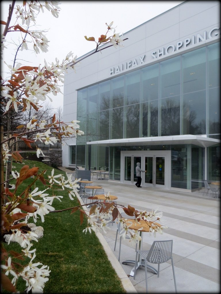 Cove17's tweet photo. Pleased to see native Indian Pear used in the new landscape for #HSCTerrace. https://t.co/DEaU7o1Iqy
