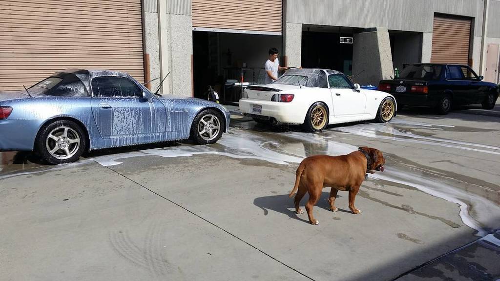 decalspec's tweet photo. Foam Soak Saturdays at #decalspec #honda #s2k #e30 https://t.co/cnPvxv8963 https://t.co/VXbbvGLzNf