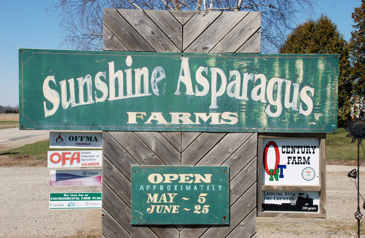 Sunshine Pickles (SunshinePickles) Twitter