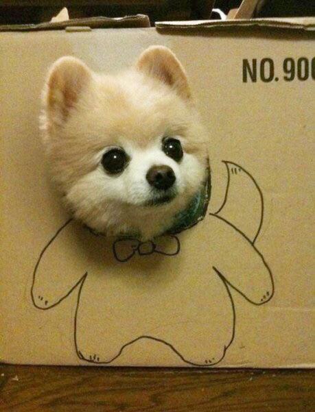 AnimalSurge's tweet photo. I heard it was a black tie occasion, I'm here to pick up Sarah for the prom. https://t.co/AxypqqHeFw