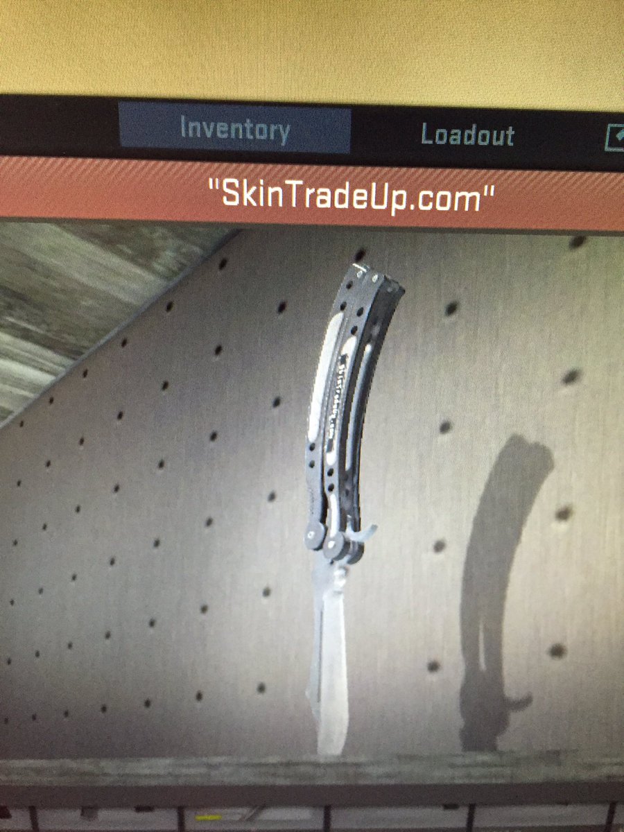 MemePitStop's tweet photo. It would not have been possible without you! Thankyou so much @SkinTradeUp! https://t.co/kYAJBwWfes