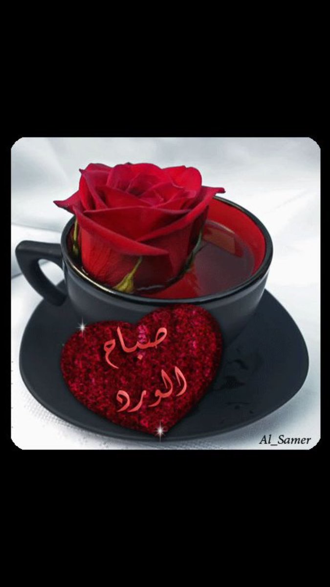 🌙صباح ٲول ٲيام شهر شعبان🌙
✨اللهم بارك لنا في شعبان وبلغنا رمضان✨
✨اللهم بلغنا شهرك الكريم ونحن ننعم بالصحة والعافيه✨