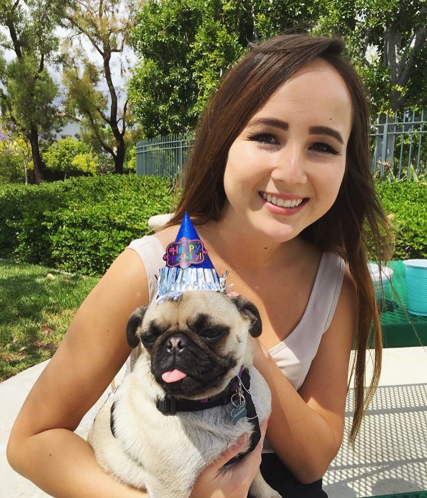 Puglee_Pug's tweet photo. Ellie's 1st birthday party ❤️ #pug #pugsofinstagram #dogparty #puglife #speakpug #thetomcoteshow #pugs #firstbirthd… https://t.co/iCv4jdjaeh