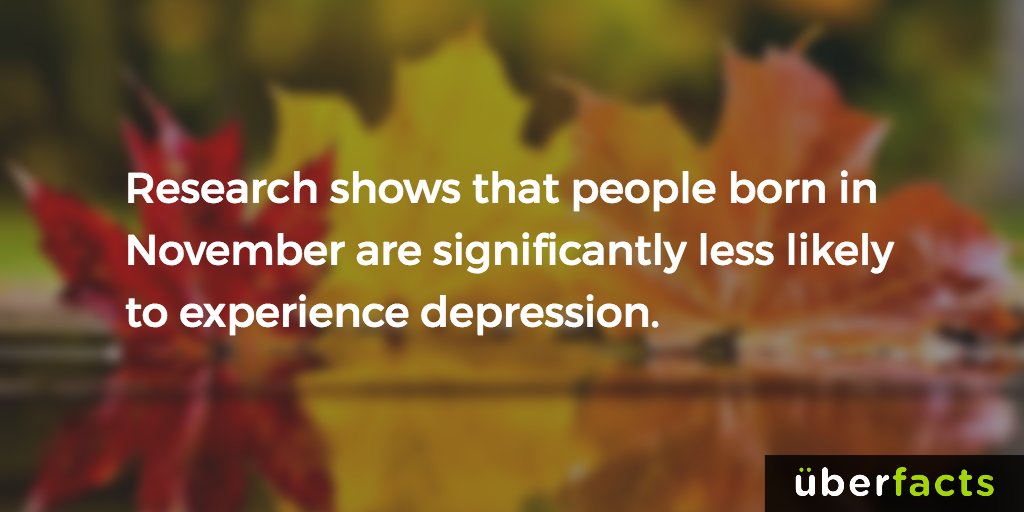 UberFacts tweet picture