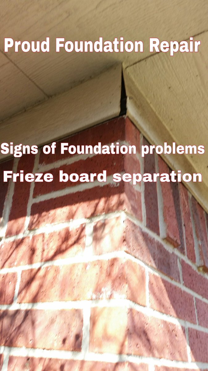 Proud Foundation (@ProudFoundation) / Posts / X
