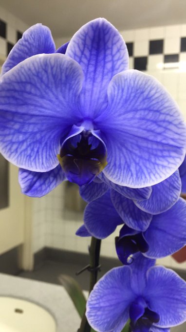 TW Pornstars - Ruby Day. Pictures and videos from Twitter. Page 15