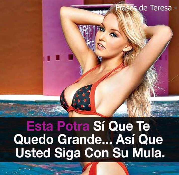 Miahs25's tweet photo. @toloza_02 pobrecito https://t.co/41XmHX9LYW