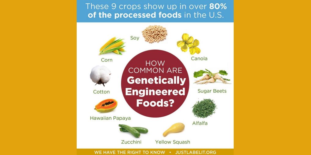 justlabelit's tweet photo. Just Label It supports GMO labeling &amp; your #righttoknow about the food you eat and feed your family. #justlabelit https://t.co/uRO1H6l00H