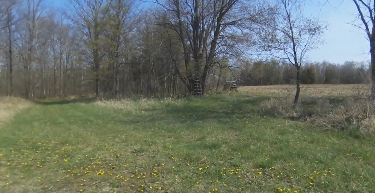 insidetherack's tweet photo. Can you spot us in our #homemade #groundblind retweet if you can #familytime #hunting #thunderchickens is #priceless https://t.co/cxwTmMlXO3