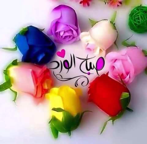 cahetd's tweet image. 