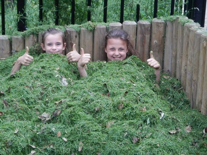 SmallHutArts's tweet image. Summer fun