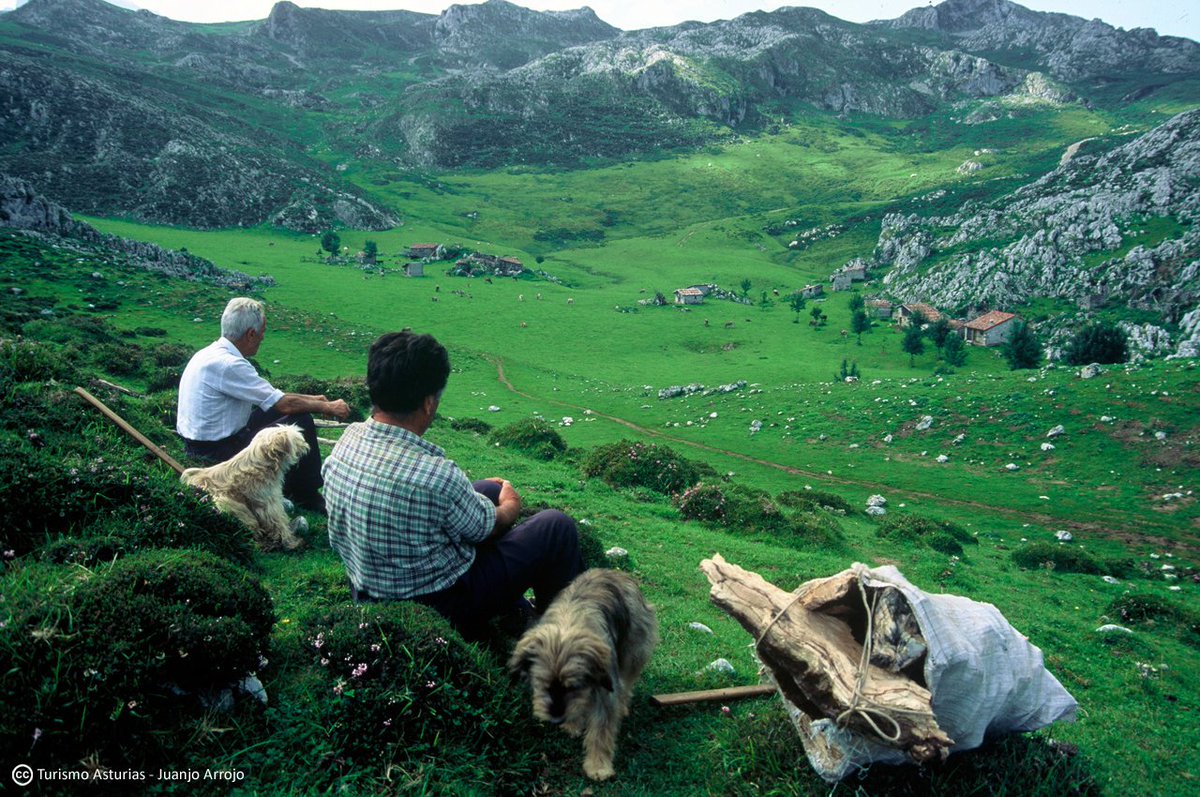 TurismoAsturias's tweet photo. Quesu Gamonéu, aldeas de renombre, altitudes de vértigo, guapas majadas ¡Así es Onís! https://t.co/3vaHjeolGd https://t.co/q0E4PCgK9S