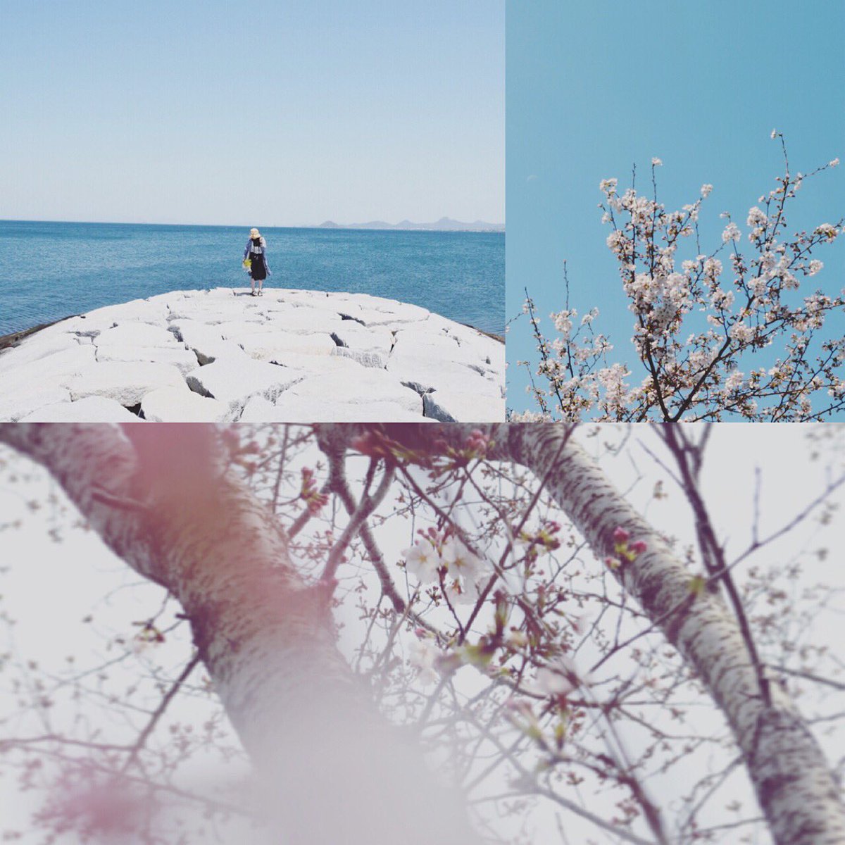 5___sky's tweet photo. この春に 撮った 写真 。
撮ってもらった 写真  。
だいすきが 詰まったものばかり 。☄

#写真撮ってる方と繋がりたい 
#写真好きな人と繋がりたい
#ファインダー越しの私の世界
#お洒落さんと繋がりたい https://t.co/wrQhdqr7D5