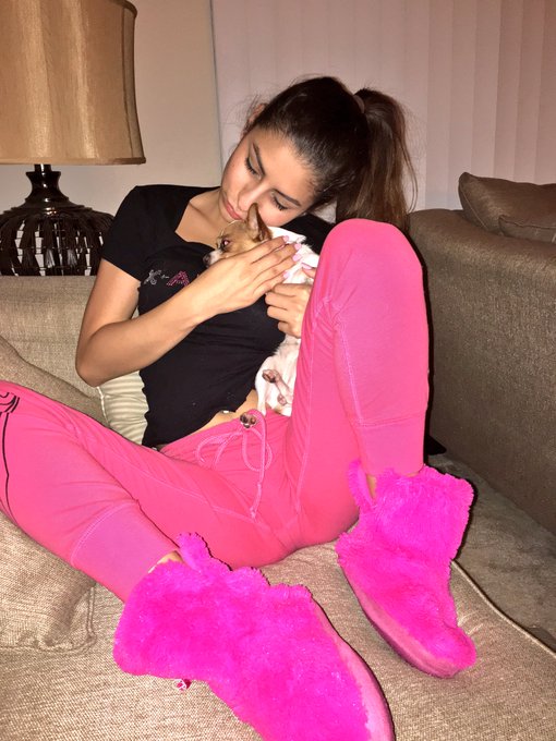 Puppy luuuuv 💕🐶 https://t.co/DiLM407XfR<a href="/tag/cancun"class="tags"><span>#cancun</span></a>