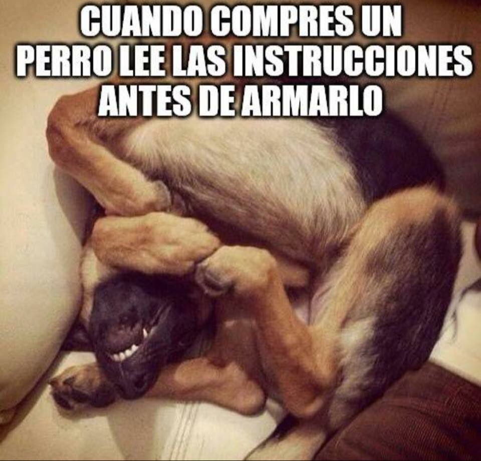 ManadaK9AC's tweet photo. Que tengan un hermoso fin de semana! https://t.co/9akuSGGfPo