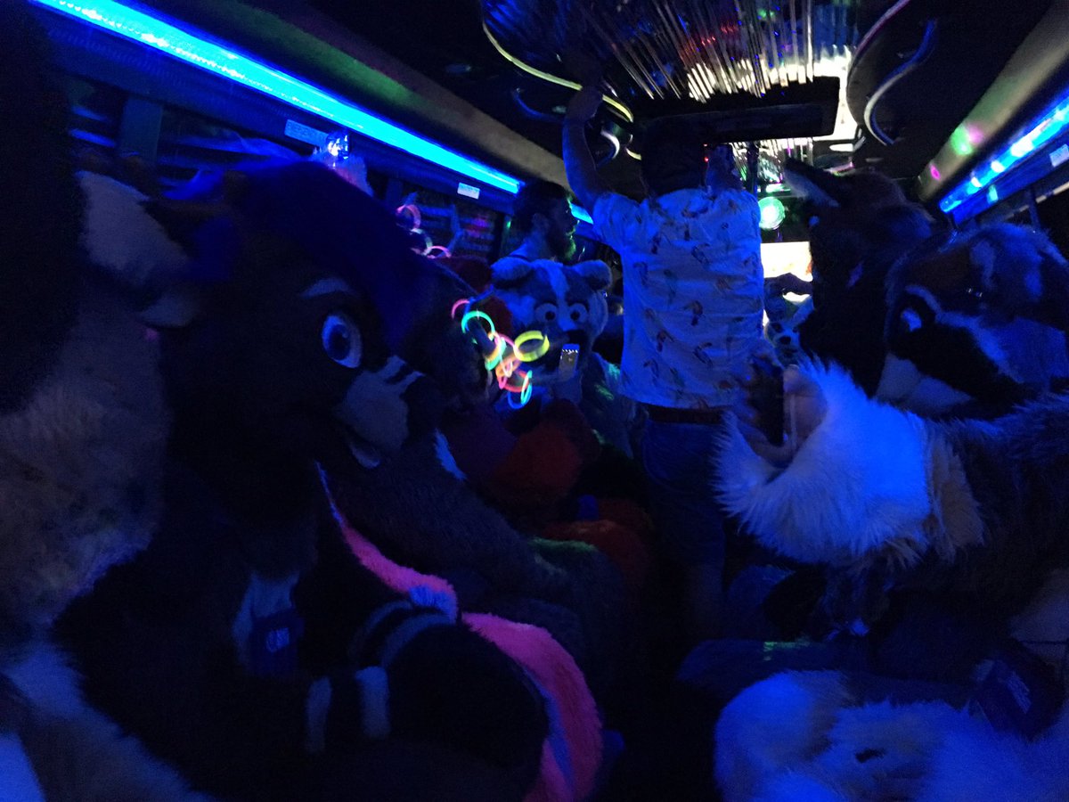 CorvinBirdy's tweet photo. Bird is in a limo with fuzzbutts! @ElliottsEvents #ESG2016 https://t.co/lo3OwIh9rw