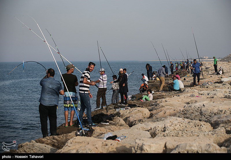 Iran_FR's tweet image. #Pêcher en famille dans l’ile de #Kish, en #Iran
iranfr.com