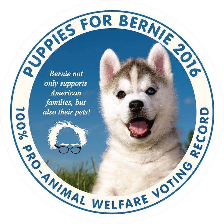 LivingOnChi's tweet photo. RT abowersock: RT oaklandbern: #HappyMothersDay to all you puppy moms too! They are family too! #WVPrimary #WestVi… https://t.co/gMGVKY3eEW