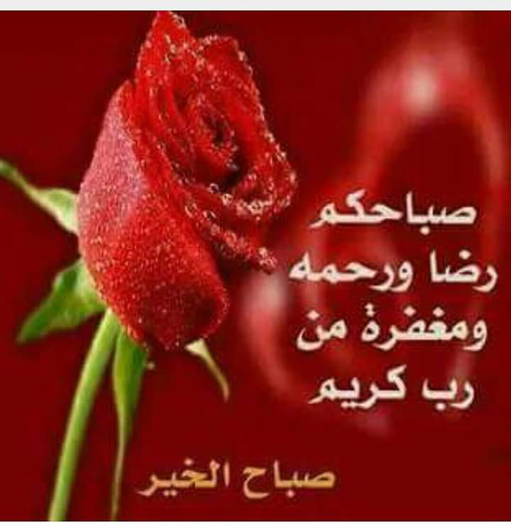 صباح الخير على كل الأحبة والأصدقاء جميعاً