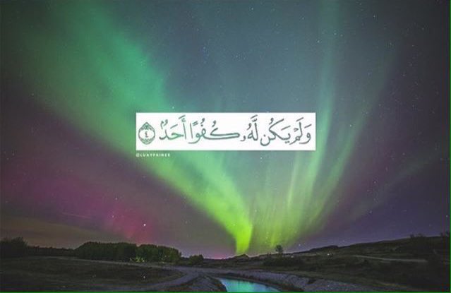 #اكتب_شي_ينفع_ولا_يضر
 #انا_بكلمه
 #القصبي_السعوديين_بلا_انسانيه
 #من_احقر_الاشياء
 #الانوثه_بنظرك
#ذكر