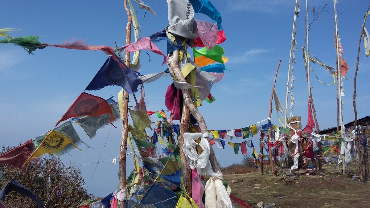 dipakbhattarai's tweet photo. #Pathivara #Buddhistflags #Taplejung #Nepal https://t.co/pxK36ehYf6