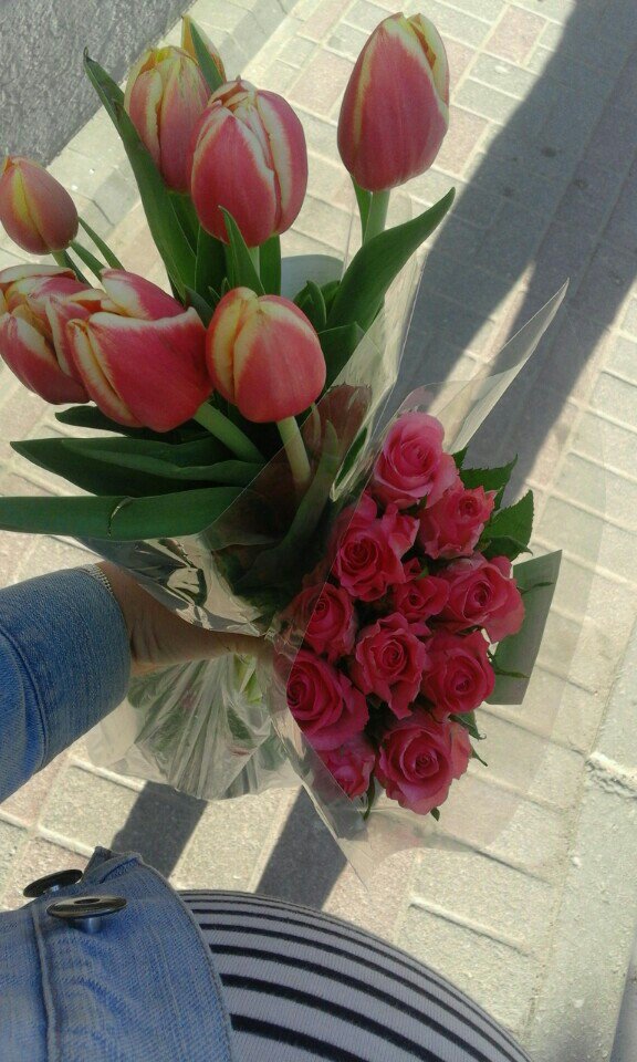 gitich tweet picture