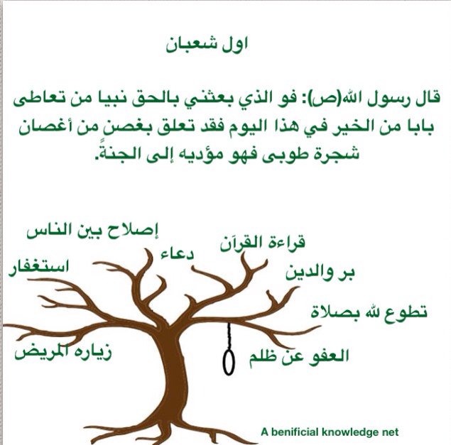 drmayadda's tweet photo. @r_shiaa1 @Ma3arifff @A7adeeth @R_t_d3wa @Retwit_islam  لنتعلق بشجره الطوبى اليوم https://t.co/8S8iTberrh