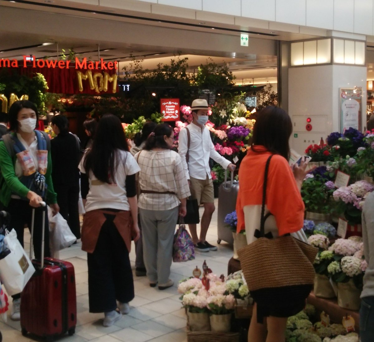 Twitter पर エキュート品川 品川 サウス Love Mother 母の日キャンペーン開催中 こちらマーケットスクエアでは 青山フラワーマーケット による臨時販売実施中 母の日限定の素敵なフラワーアレンジメントを多数ご用意しております お花と共に日々の感謝を Twitter पर エキュート品川 品川 サウス Love Mother 母の日キャンペーン開催中 こちらマーケットスクエアでは 青山フラワーマーケット による臨時販売実施中 母の日限定の素敵なフラワーアレンジメントを多数ご用意しております お花と共に日々の感謝を