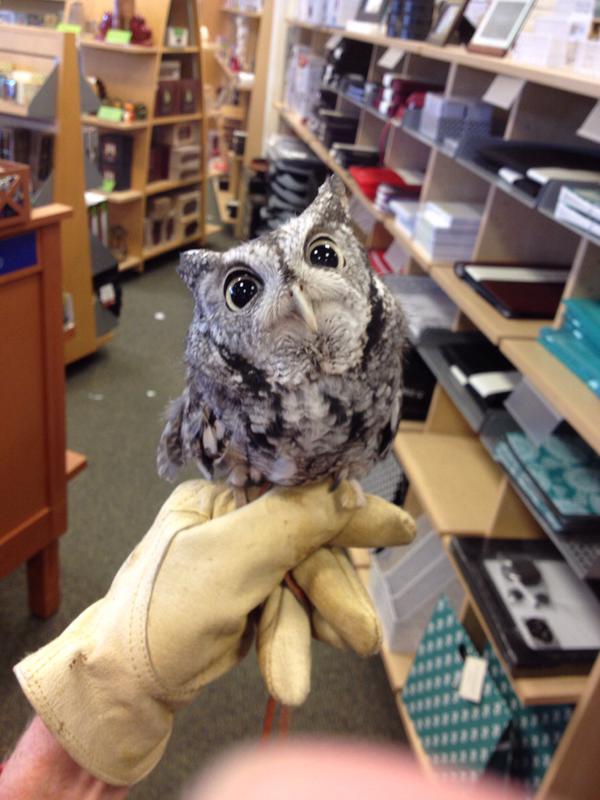 Our book store got a visitor today