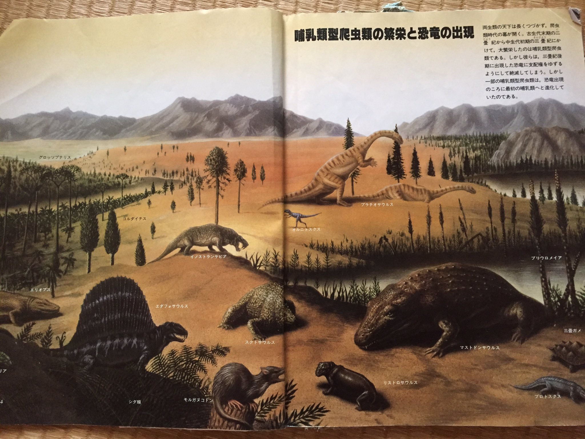 初売り キャンバス 原画 ニ*ノ様 C-REX 児島 #146（複製画S 恐竜 抽象画 絵画
