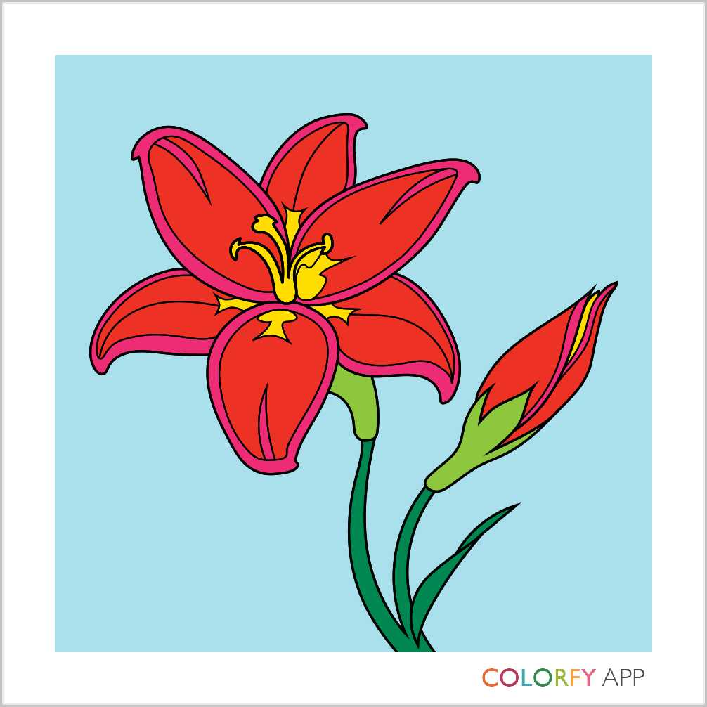 #colorfy #painteditmyself #coloringbook #cute #beautiful #love