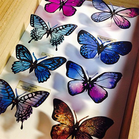 塩野ひとみ10 14 個展 Pa Twitter Shior Sion K 405両日 写真 イラストを使った標本雑貨とアクセサリー Dfでは初売りの蝶標本もあります T Co Fxjjgvpqrx Designfesta デザフェスrt祭 デザフェス