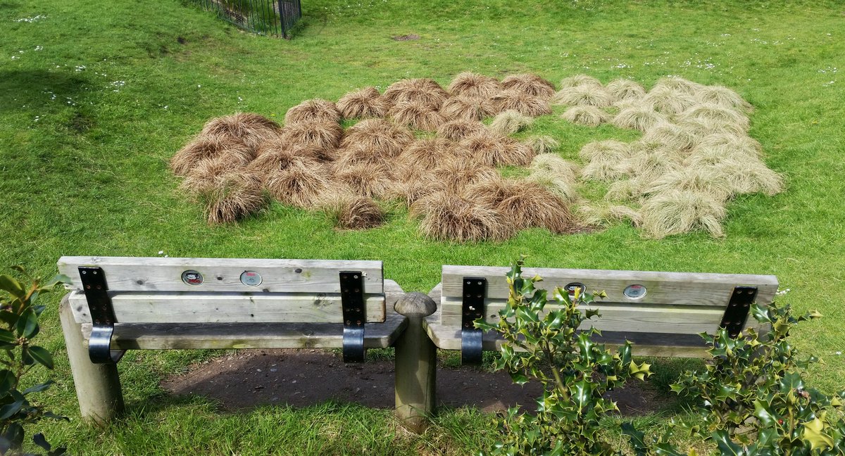 iron_ammonite's tweet photo. Turns out that Donald #Trump cultivates his hair in Weston-Super-Mare where seating is provided to watch the event. https://t.co/Ct724xDFKZ