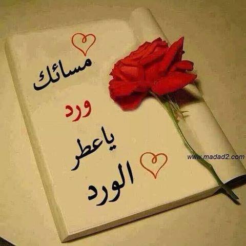 amin888041's tweet photo. @samralii22 https://t.co/AiHu1cEBPi