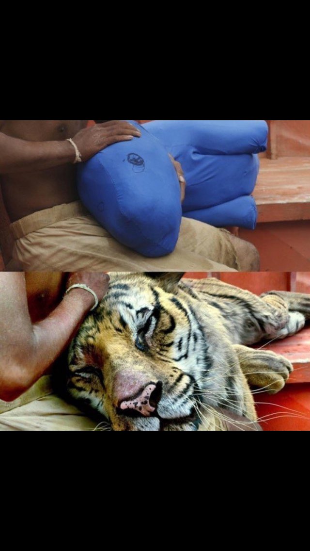 HumourAddict's tweet image. Ça doit être super gênant d'être acteur parfois mdr 😂😐