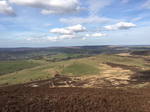 CoquetdaleHols's tweet photo. Has the summer finally arrived? Stunning walk up the #SimonsideRidge. Absolute bliss.... https://t.co/7997G3O7lm