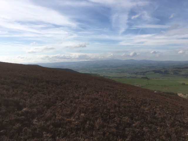 CoquetdaleHols's tweet photo. Has the summer finally arrived? Stunning walk up the #SimonsideRidge. Absolute bliss.... https://t.co/7997G3O7lm