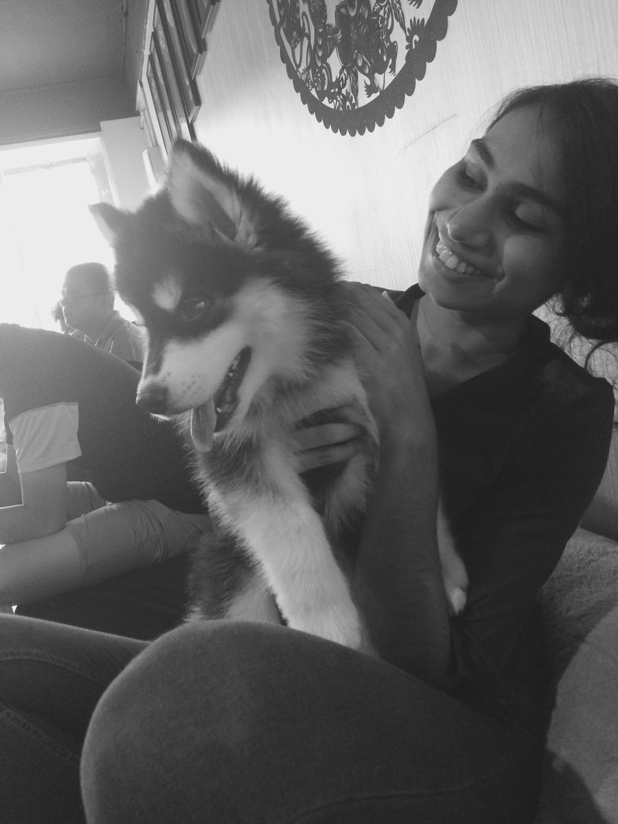 samitaaraj's tweet photo. #tb #huskitory https://t.co/rAV1WpvAUz