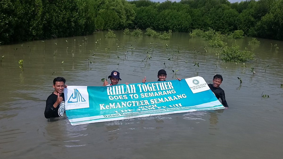 Penanaman 100 bibit mangrove bersama <a href="/JAM_FEUII/">Jamaah AlMuqtashidin</a> dan <a href="/BKarimunjawa/">bolang karimunjawa</a> di dsn senik, ds bedono, kec sayung, kab demak.