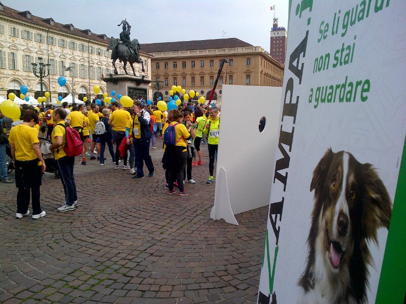 fulviocerutti's tweet photo. Anche @lazampa è presente alla @Stratorino2016 con le sue videoadozioni. Veniteci a trovare! https://t.co/BzNEea8nL2