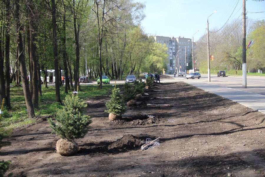 gerzdev's tweet photo. @Tularegion71 В рамках акции "Кислород городам!" высадили голубые ели и сосны https://t.co/m9E9ouHWlc