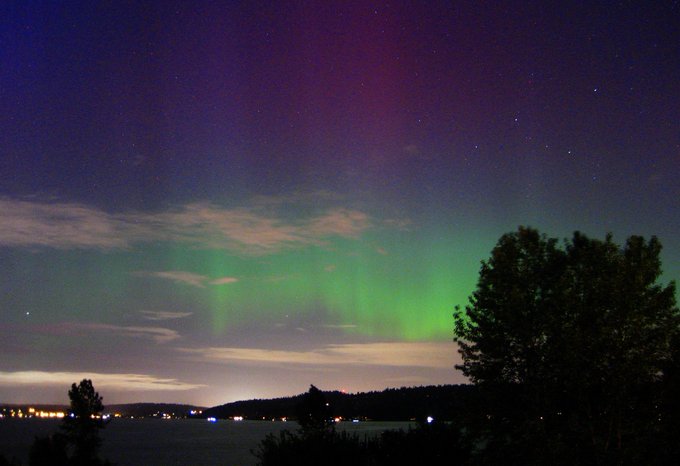 View image on Twitter