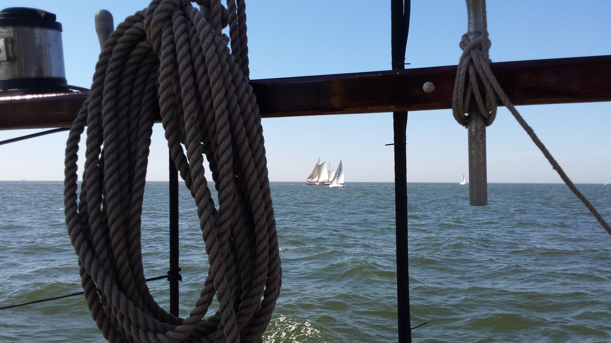 Terug naar de wal. <a href="/sloeproeienNL/">Sloeproeien Nederland</a> #ht2016