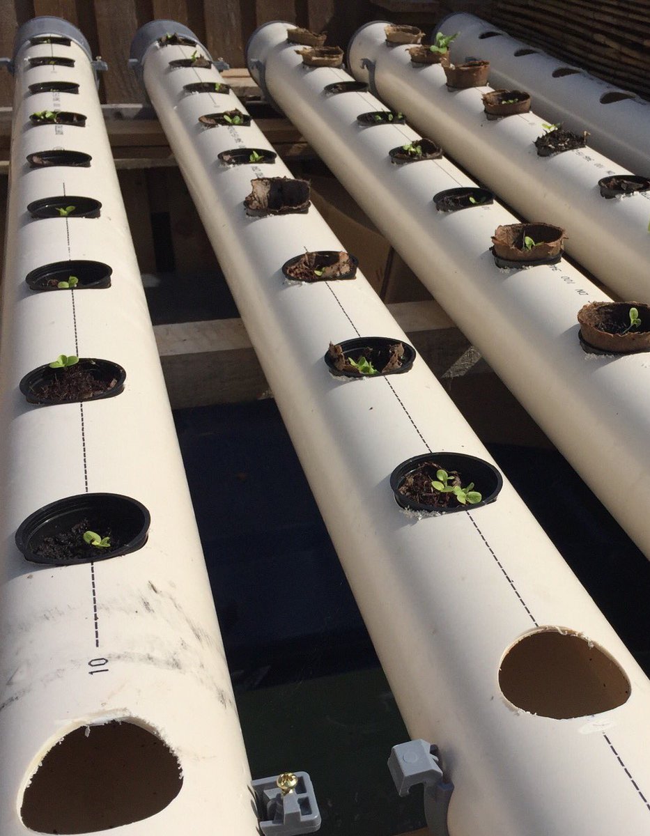InnovEau's tweet photo. We have large stock of predrilled #Aquaponics and #hydroponics pipe for sale https://t.co/rcdaRdpWj5