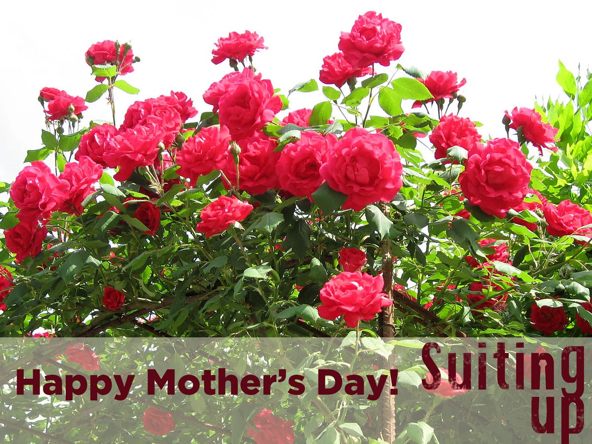 SuitingupFilm's tweet photo. Can Karl use the roses for a bouquet for his mum without Mr. van der Laen noticing?
#suitingupfilm #mothersday https://t.co/DQa7C6kGrr